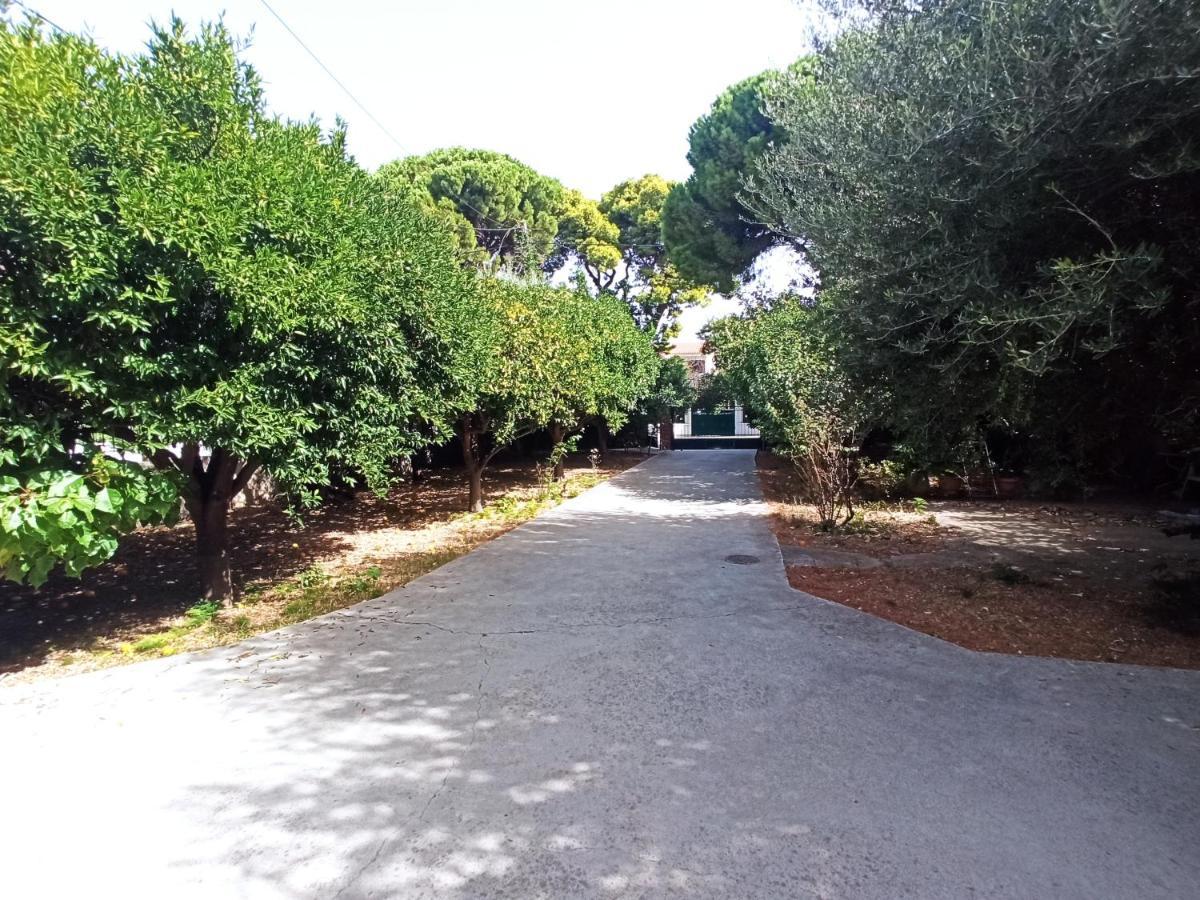 Σπίτι Στο Ρίο Πατρών Με Κήπο - Detached House In Rio With Garden Διαμέρισμα Εξωτερικό φωτογραφία
